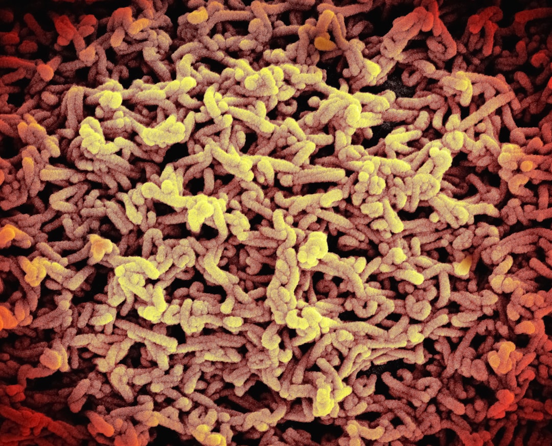 Visual illustration for microbiome diversity and immunity